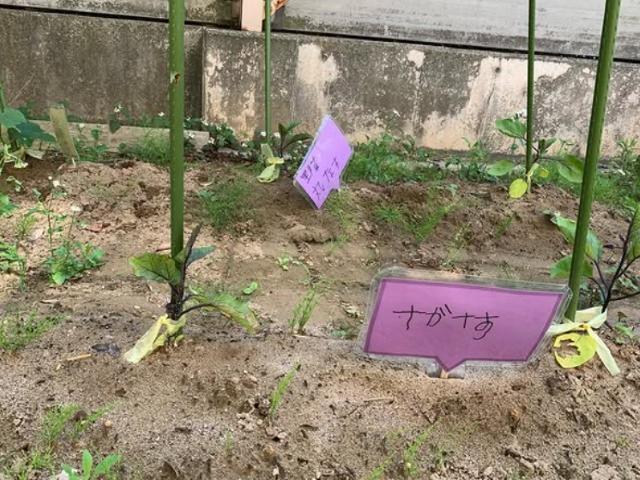 【言語聴覚士】多機能型施設/日祝休み/完全週休2日制◎/未経験可/三角屋根が特徴の可愛い一軒家で、健やかな育ちを支援/子どもたちの幸せを第一に♪/月給19.3万円～/正社員/資格必須の写真6枚目