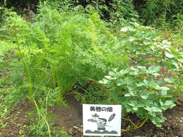 【児童指導員】放課後等デイサービス/年間休日112日◎/日曜休み/未経験可/生きがいのある社会生活の実現を目指し、子どもたちの成長をサポート♪/月給18.3万円～/正社員/資格必須の写真1枚目