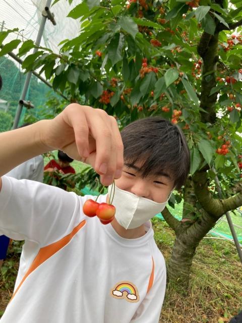 【保育士】多機能型施設/育休取得実績あり◎/UIJターン歓迎！多施設展開中の法人/「知育・体育・療育」を目的に多彩な支援を実践中♪/月給18.5万円～/正社員/資格必須の写真7枚目