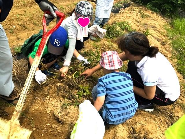 【作業療法士】放課後等デイサービス/正社員/資格必須/経験5年以上必須/月給28.5万円～/日祝休み◎/年休120日/事業拡大中の成長企業/研修＆資格取得・キャリア支援が充実♪の写真2枚目