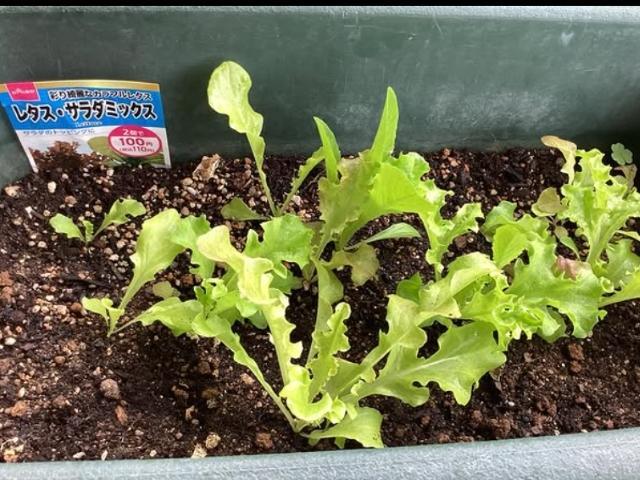 【作業療法士】訪問看護事業所/資格必須/⽉給24万円〜/土日祝休み/年休120日以上/支援が必要な家庭に訪問するお仕事♪/家庭と両立して働くスタッフ多数！ワークライフバランス◎の写真4枚目