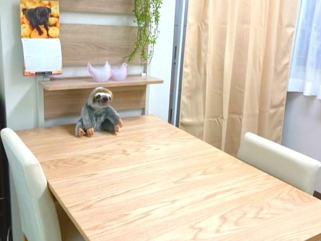 【児童指導員】多機能型施設/年間休日120日/日祝休み◎/未経験・ブランク可/多彩な支援を提供/子どもたちもスタッフ「アイデア」が生かせる施設♪/月給21万円～/正社員/資格必須の写真8枚目