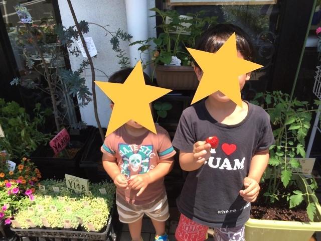 【児童指導員】放課後等デイサービス/日祝休み/年休125日/提携保育園あり/手当が充実/専門コーチが指導！毎日スポーツをする元気いっぱいの施設♪/月給16.9万円～/正社員/資格必須の写真10枚目