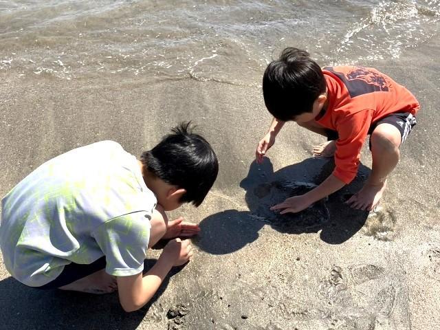 【作業療法士】放課後等デイサービス/月曜休み◎/送迎なし/グループワークのプログラムを中心とした療育♪/自分らしくいられる場所を提供/月給20.3万円～/契約社員/資格必須