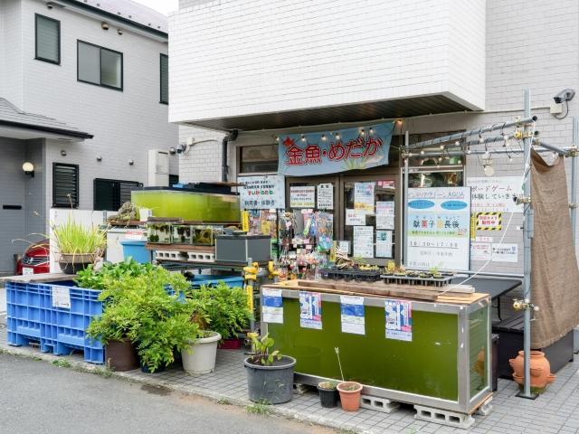 【サービス管理責任者】就労継続支援B型/正社員/資格必須/月給25万円～/土日休み/駄菓子屋運営や動物のお世話がメインの楽しい施設♪