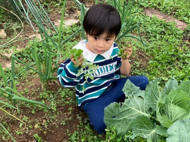 【児童指導員】児童発達支援/年間休日120日◎/日祝休み/ブランク・未経験OK！/子どもたちの自尊心を高め、挑戦意欲を湧きたてる療育♪/月給21万円～/契約社員/資格必須の写真3枚目