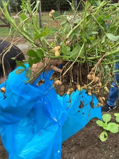 【児童指導員】児童発達支援/年間休日120日◎/日祝休み/ブランク・未経験OK！/子どもたちの自尊心を高め、挑戦意欲を湧きたてる療育♪/月給21万円～/契約社員/資格必須の写真5枚目