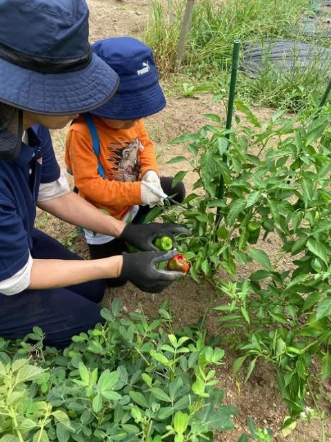 【臨床心理士/公認心理師】児童発達支援/年間休日120日◎/日祝休み/ブランク・未経験OK/子どもたちの自尊心を高め、挑戦意欲を湧きたてる療育♪/月給24万円～/契約社員/資格必須の写真7枚目