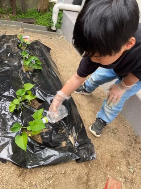 【児童指導員】多機能型施設/年間休日120日◎/日曜休み/リトミック・英語学習・SSTなどを用いた療育！/精神的＆生活動作の自立を目指す♪/月給21.6万円～/契約社員/資格必須の写真3枚目