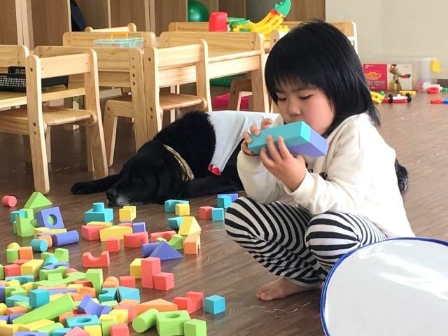 【児童指導員】多機能型施設/日祝休み/年間休日125日/提携保育園あり/手当が充実/専門コーチが指導！毎日スポーツをする元気いっぱいの施設♪/月給16.9万円～/正社員/資格必須の写真2枚目