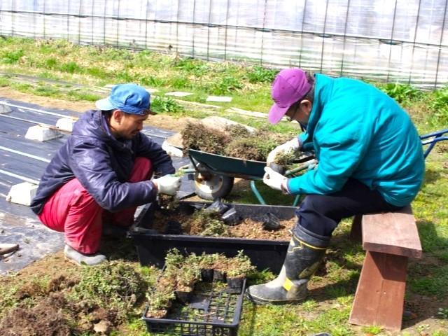 【サービス管理責任者】就労継続⽀援B型/正社員/資格必須/⽉給25.8万円〜/成長したい方必見！研修制度充実◎/すべての人が誰かを支える存在となれる社会への写真8枚目