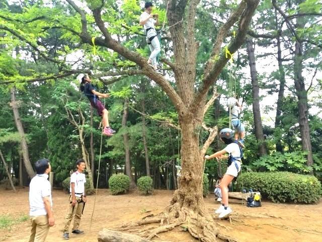 【保育士】放課後等デイサービス/年間休日114日/完全週休2日制/多様性をリスペクトし個性を認め合う療育♪/ガソリン代補助/月給20.5万円～/正社員/資格必須