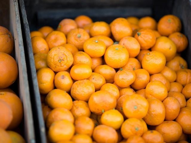 【サービス管理責任者】就労継続支援A型/土日休み/完全週休2日制◎/シフト調整＆希望休可/南インドカレー専門店と連携し、心と体を元気にする就労支援♪/月給30万円～/正社員/資格必須の写真5枚目