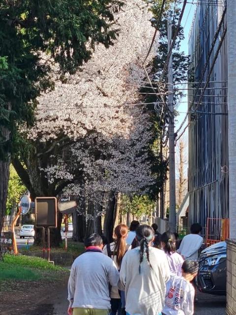 【児童指導員】多機能型施設/年休112日/産休・育休取得実績あり/運動療育をメインに心と体の成長をサポート/「できる」を信じて「できた」をよろこぶ♪/月給19万円～/正社員/資格必須の写真2枚目