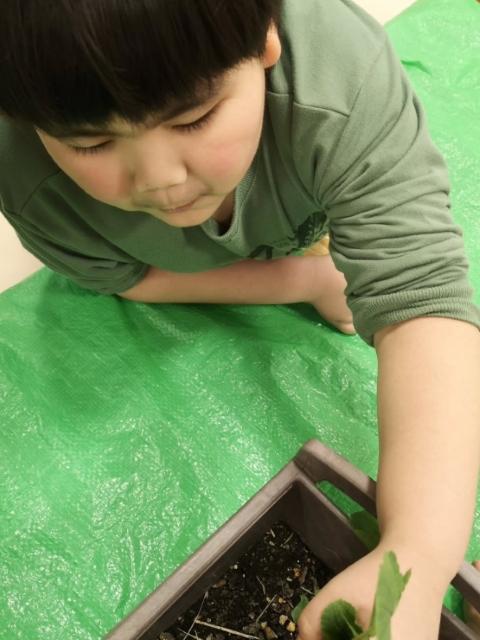 【児童発達支援管理責任者】放課後等デイサービス/完全週休2日制/土曜定休◎/幅広い世代が活躍中♪/感覚・感触遊びやムーブメントが中心の療育/月給18.2万円～/正社員/資格必須の写真1枚目