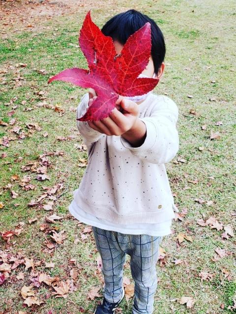 【児童指導員】放課後等デイサービス/年間休日110日◎/月給26.7万円～/産休・育休取得実績＆託児施設あり/学習スキル＆社会的スキルの向上をサポートする療育♪/正社員/資格必須の写真8枚目