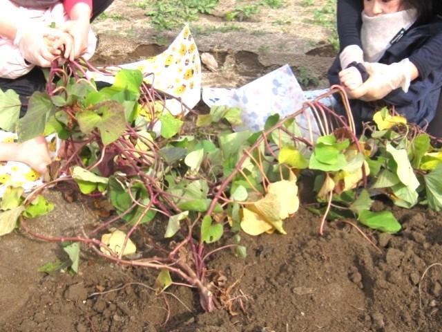 【看護師/准看護師】重症心身障害児施設/正社員/資格必須/月給23.1万円～/年間休日120日/残業ほぼなし/多数の重心施設や放デイを展開する法人◎の写真5枚目