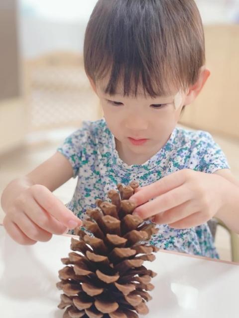 【理学療法士】多機能型施設/土日祝休み◎/研修＆資格取得支援あり/3人の子育て経験のある母親が代表/しっかり向き合い、個性を大切にする施設♪/月給25万円～/正社員/資格必須の写真1枚目