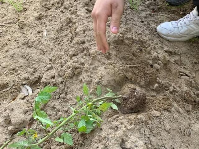 【児童発達支援管理責任者】多機能型施設/土日祝休み/完全週休2日制◎/三角屋根が特徴の可愛い一軒家で、健やかな育ちを支援/子どもたちの幸せを第一に♪/月給22万円～/正社員/資格必須の写真5枚目