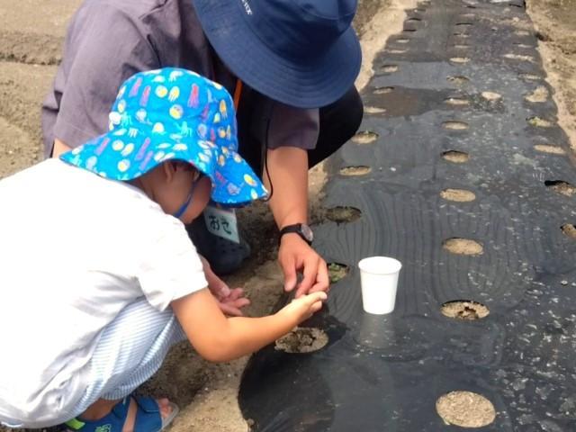 【児童発達支援管理責任者】多機能型施設/土日祝休み◎/学習・SST・身辺自立など、多彩なプログラムで主体的なキャリアの構築をサポート♪/月給28万円～/正社員/資格必須の写真1枚目