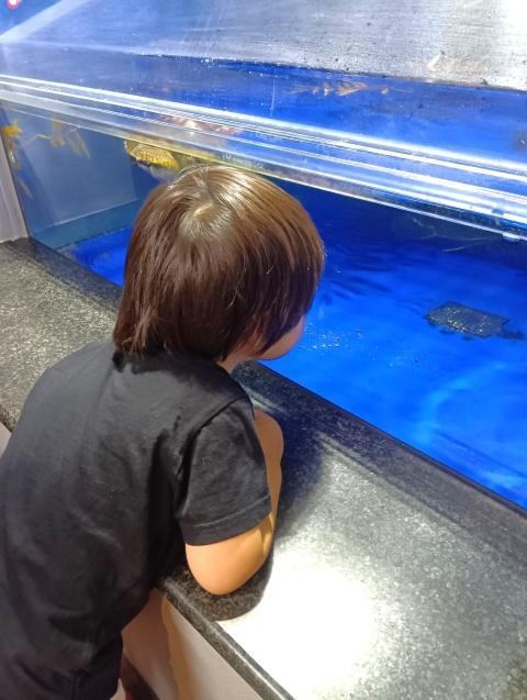 【児童指導員】児童発達支援/正社員/資格必須/月給20.7万円～/完全週休2日制/土日祝休み/残業ほぼなし◎/長期休暇も充実/ワークライフバランスの整った施設で活躍しませんか！の写真1枚目