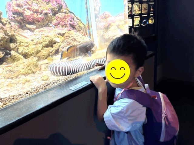 【保育士】児童発達支援/正社員/資格必須/月給21.2万円～/駅チカ/完全週休2日制/土日祝休み/残業ほぼなし◎/長期休暇も充実/ワークライフバランスの整った施設で活躍しませんか！の写真4枚目