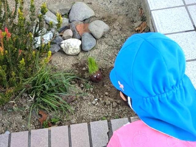 【理学療法士】児童発達支援/送迎なし/年休120日以上/教育制度＆サポート体制が整った充実の大手フランチャイズ♪/月給24万円～/正社員/資格必須の写真7枚目