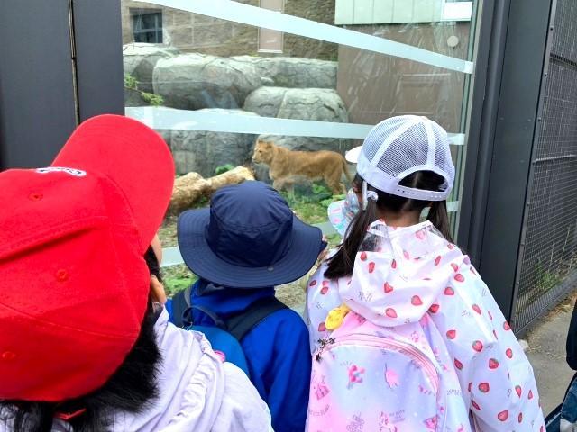 【児童指導員】多機能型施設/日祝休み◎/研修充実＆手厚い福利厚生あり！/「楽しい・笑顔・達成感」を伸びしろにつなげ、開花させたい♪/月給20万円～/契約社員/資格必須の写真8枚目