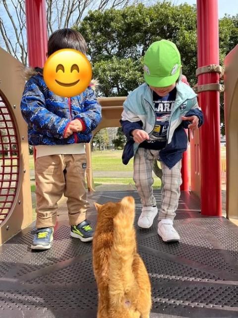 【作業療法士】多機能型施設/残業ほぼなし＆教育制度充実◎/「体・心・知」のスペシャリストが支援！「遊びと学習」で個性が花開く教室♪/月給26万円～/正社員/資格必須の写真5枚目