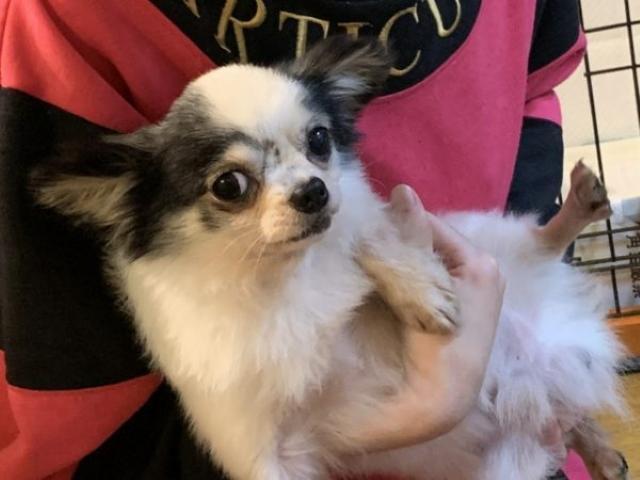 【サービス管理責任者】動物好きな方大歓迎！ペットと暮らす障がい者グループホーム/年休110日/完全週休2日制/全国1400か所以上展開する大手♪/月給25万円～/正社員/資格必須