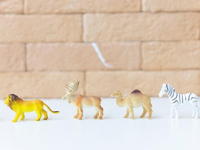 【児童指導員】放課後等デイサービス/日祝休み/残業ほぼなし◎/おもいやりを大切に、褒めて可能性を伸ばす療育♪/水泳教室との連携やICT学習も導入！/月給20万円～/契約社員/資格必須の写真4枚目