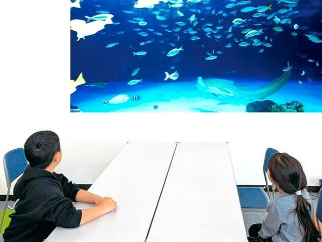 【児童発達⽀援管理責任者】⽉給31万円〜/多機能型施設/完全週休2日制＆残業ほぼなしでワークライフバランス◎/モットーは「子どもが主役」！楽しく生きる力を育む♪/正社員/資格必須