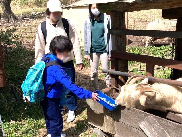 【児童指導員】月給21万円～/放課後等デイサービス/年休110日以上/日祝休み◎/一人ひとりに成功体験を！学習支援と集団療育でそれぞれの自立を支援♪/正社員/資格必須の写真7枚目