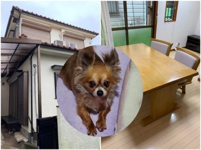 【サービス管理責任者】動物好きな方大歓迎！ペットと暮らす障がい者グループホーム/年休110日/完全週休2日制/全国1400か所以上展開する大手♪/月給25万円～/正社員/資格必須の写真1枚目