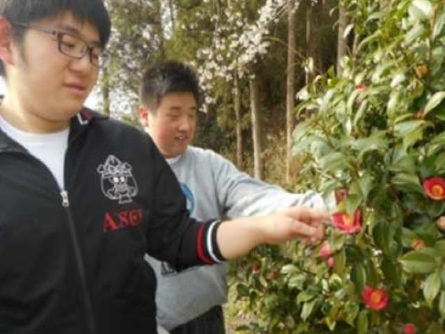 【保育士】多機能型施設/週休2日制/日曜休み◎/扶養・住居手当あり/一人ひとりの発達に沿った療育支援/あふれる笑顔と明るい未来のために♪/月給20.2万円～/正社員/資格必須の写真6枚目