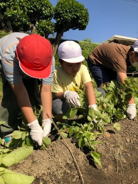 【児童指導員】月給19万円～/放課後等デイサービス/日曜固定休◎/育児休業の取得実績あり！/外出・農業体験を中心とした支援で「笑顔の種」をつくりたい♪/正社員/資格必須の写真8枚目