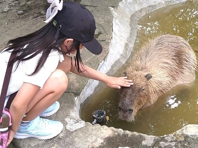 【児童発達支援管理責任者】⽉給25万円〜/放課後等デイサービス/⼟⽇休み◎/残業少なめ/年齢・学歴不問/英語を使った独自レッスンと多彩なプログラムが魅力♪/正社員/資格必須の写真7枚目