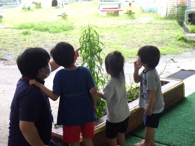 【児童指導員】月給20.1万円～/児童発達支援/日曜休み/年間休日110日/研修制度＆資格取得支援充実◎/専門的アプローチと療育で多面的な成長を支援♪/正社員/資格必須