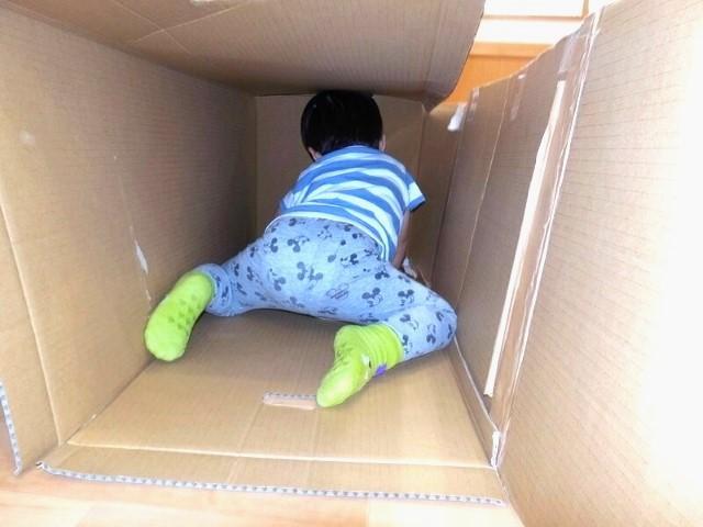 【児童指導員】月給22.1万円～/児童発達支援/日曜休み/年間休日110日/研修制度＆資格取得支援充実◎/専門的アプローチと療育で多面的な成長を支援♪/正社員/資格必須の写真6枚目