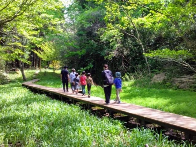 【臨床心理士/公認心理師】放課後等デイサービス/年休113日◎/ゆっくりと心を育む療育/個性を尊重し、自己肯定感を尊重した未来づくりに向かって♪/月給22万円～/正社員/資格必須の写真1枚目