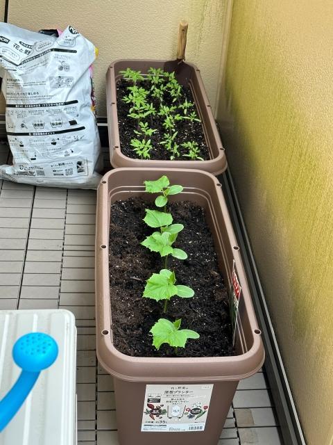 【児童指導員】多機能型施設/週3日～勤務OK◎/音楽療法をメインとしたプログラムを実施♪/ありのままの姿をあたたかく見守る支援/時給1,116円～/パート・アルバイト/資格必須の写真8枚目