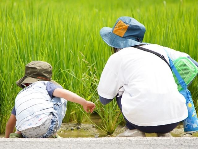【作業療法士】放課後等デイサービス/月9日休み/産休・育休取得実績あり/送迎なし◎/子どもたちと悩みを共有し、自己有能感をはぐくむ支援♪/月給21.5万円～/正社員/資格必須の写真5枚目
