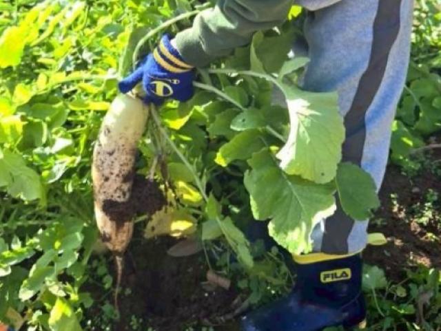 【児童指導員】多機能型施設/年間休日110日◎/日曜休み/残業ほぼなし/一人ひとりに合わせた療育で社会性を養う♪/えがおを絶やさない支援を！/月給19.5万円～/正社員/資格必須の写真2枚目