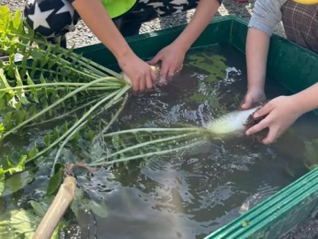 【保育士】多機能型施設/年間休日110日◎/日曜休み/産休・育休取得実績あり/一人ひとりに合わせた療育で社会性を養う♪/えがおを絶やさない支援を！/月給20万円～/正社員/資格必須