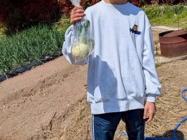 【作業療法士】多機能型施設/年休110日◎/日曜休み/産休・育休取得実績あり/一人ひとりに合わせた療育で社会性を養う♪/えがおを絶やさない支援を！/月給19万円～/正社員/資格必須の写真4枚目