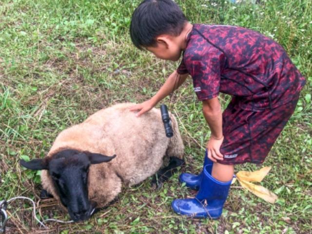 【児童発達支援管理責任者】多機能型施設/日月休み/完全週休2日制◎/森に囲まれた環境で安心とあたたかさを提供/子どもの選択と経験を見守る療育♪/月給22.4万円〜/正社員/資格必須の写真3枚目