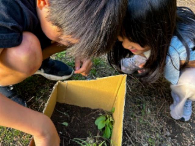 【臨床心理士/公認心理師】多機能型施設/年間休日118日◎/日月休み/森に囲まれた環境で安心とあたたかさを提供/子どもの選択と経験を見守る療育♪/月給18.2万円〜/正社員/資格必須