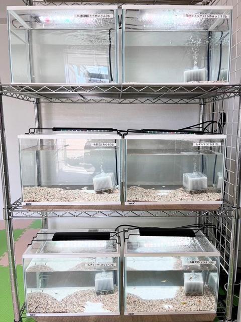 【児童発達支援管理責任者】児童発達支援/土日休み/残業ほぼなし/産・育休取得実績あり/畑・生き物の飼育など自然豊かな環境に触れて、五感をはぐくむ♪/月給30万円～/正社員/資格必須の写真9枚目