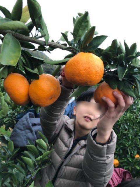 【児童指導員】放課後等デイサービス/年休110日◎/日曜休み/育休取得実績あり/子どもたちが夢を叶えるための通過点♪/エンジョイできる活動の場を提供/月給20万円～/正社員/資格必須の写真5枚目