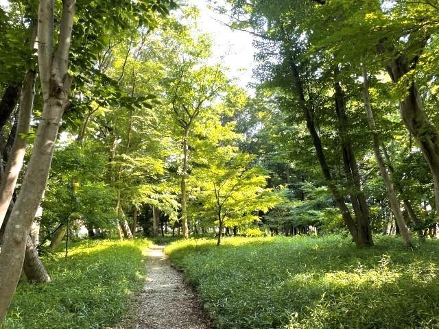 【臨床心理士/公認心理師】多機能型施設/日祝休み＆残業ほぼなし◎/生活介護や相談支援など、多彩なサービスを展開する法人/音楽を中心に幅広い支援を♪/月給22万円～/正社員/資格必須の写真5枚目